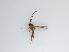  ( - TMM-1227-2)  @11 [ ] CreativeCommonsAttribution Non-Commercial (2018) Unspecified Zhejiang A&F University