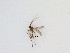  ( - TMM-288-2)  @11 [ ] CreativeCommonsAttribution Non-Commercial (2018) Unspecified Zhejiang A&F University