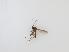  ( - TMM-362-2)  @11 [ ] CreativeCommonsAttribution Non-Commercial (2018) Unspecified Zhejiang A&F University