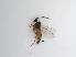  ( - TMM-951-2)  @11 [ ] CreativeCommonsAttribution Non-Commercial (2018) Unspecified Zhejiang A&F University