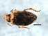  ( - 10PROBE-27029)  @13 [ ] CreativeCommons - Attribution (2010) CBG Photography Group Centre for Biodiversity Genomics