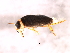  ( - 10PROBE-27102)  @12 [ ] CreativeCommons - Attribution (2010) CBG Photography Group Centre for Biodiversity Genomics