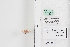  ( - LEP84858)  @11 [ ] by-nc (2022) Unspecified Florida Museum of Natural History, McGuire Center for Lepidoptera and Biodiversity