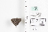  ( - LEP88327)  @11 [ ] by-nc (2022) Unspecified Florida Museum of Natural History, McGuire Center for Lepidoptera and Biodiversity