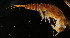  ( - USGSJJGBTWF04A)  @11 [ ] CreativeCommons  Attribution Non-Commercial Share-Alike (2016) Unspecified U. S. Geological Survey