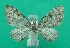  ( - KLM Lep 08670)  @11 [ ] CreativeCommons - Attribution Non-Commercial Share-Alike (2017) Christian Wieser Tiroler Landesmuseum