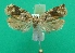  ( - KLM Lep 08700)  @13 [ ] CreativeCommons - Attribution Non-Commercial Share-Alike (2017) Christian Wieser Tiroler Landesmuseum