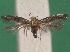  ( - KLM Lep 12329)  @11 [ ] CreativeCommons - Attribution Non-Commercial Share-Alike (2018) Christian Wieser Landesmuseum Kärnten