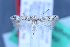  (Scrobipalpa oleksiyella - TLMF Lep 25589)  @11 [ ] CreativeCommons - Attribution Non-Commercial Share-Alike (2018) Peter Huemer Tiroler Landesmuseum