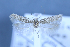  (Scrobipalpa erichi - TLMF Lep 25598)  @11 [ ] CreativeCommons - Attribution Non-Commercial Share-Alike (2018) Peter Huemer Tiroler Landesmuseum