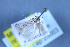  (Scrobipalpa plesiopicta - TLMF Lep 25663)  @11 [ ] CreativeCommons - Attribution Non-Commercial Share-Alike (2018) Peter Huemer Tiroler Landesmuseum
