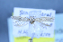  (Scrobipalpa algeriensis - TLMF Lep 25670)  @11 [ ] CreativeCommons - Attribution Non-Commercial Share-Alike (2018) Peter Huemer Tiroler Landesmuseum