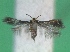  ( - KLM Lep 14285)  @11 [ ] CreativeCommons - Attribution Non-Commercial Share-Alike (2018) Christian Wieser Landesmuseum Kärnten