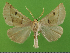  ( - KLM Lep 14784)  @13 [ ] CreativeCommons - Attribution Non-Commercial Share-Alike (2019) Christian Wieser Landesmuseum Kärnten