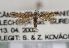  (Scrobipalpa gallicella - TLMF Lep 27424)  @13 [ ] CreativeCommons - Attribution Non-Commercial Share-Alike (2019) Peter Huemer Tiroler Landesmuseum