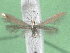  ( - KLMLep15793)  @11 [ ] CreativeCommons - Attribution Non-Commercial Share-Alike (2022) Christian Wieser Landesmuseum Kärnten