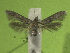  ( - KLMLep16022)  @11 [ ] CreativeCommons - Attribution Non-Commercial Share-Alike (2023) Christian Wieser Landesmuseum Kärnten