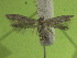  ( - KLMLep16023)  @11 [ ] CreativeCommons - Attribution Non-Commercial Share-Alike (2023) Christian Wieser Landesmuseum Kärnten