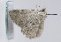  ( - TLMF Lep 10597)  @14 [ ] CreativeCommons - Attribution Non-Commercial Share-Alike (2013) Peter Huemer Tiroler Landesmuseum Ferdinandeum