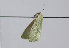  ( - TLMF Lep 11358)  @12 [ ] CreativeCommons - Attribution Non-Commercial Share-Alike (2013) Unspecified Tiroler Landesmuseum Ferdinandeum
