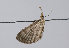  ( - TLMF Lep 11362)  @12 [ ] CreativeCommons - Attribution Non-Commercial Share-Alike (2013) Unspecified Tiroler Landesmuseum Ferdinandeum
