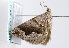  ( - TLMF Lep 11381)  @12 [ ] CreativeCommons - Attribution Non-Commercial Share-Alike (2013) Unspecified Tiroler Landesmuseum Ferdinandeum