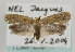  ( - TLMF Lep 13701)  @13 [ ] CreativeCommons - Attribution Non-Commercial Share-Alike (2014) Peter Huemer Tiroler Landesmuseum Ferdinandeum