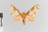  ( - EcEs-Lep-00495)  @11 [ ] copyright (2024) Gunnar Brehm Friedrich-Schiller-University Jena