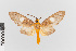  ( - EcEs-Lep-00076)  @11 [ ] copyright (2024) Gunnar Brehm Friedrich-Schiller-University Jena