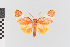  ( - EcEs-Lep-00077)  @11 [ ] copyright (2024) Gunnar Brehm Friedrich-Schiller-University Jena