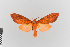  ( - EcEs-Lep-00112)  @11 [ ] copyright (2024) Gunnar Brehm Friedrich-Schiller-University Jena