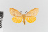  ( - EcEs-Lep-00153)  @11 [ ] copyright (2024) Gunnar Brehm Friedrich-Schiller-University Jena