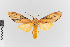  ( - EcEs-Lep-00261)  @11 [ ] copyright (2024) Gunnar Brehm Friedrich-Schiller-University Jena