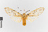  ( - EcEs-Lep-00264)  @11 [ ] copyright (2024) Gunnar Brehm Friedrich-Schiller-University Jena