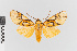  ( - EcEs-Lep-00371)  @11 [ ] copyright (2024) Gunnar Brehm Friedrich-Schiller-University Jena