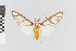  ( - EcEs-Lep-01158)  @11 [ ] copyright (2024) Gunnar Brehm Friedrich-Schiller-University Jena