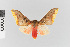 ( - EcEs-Lep-04291)  @11 [ ] copyright (2024) Gunnar Brehm Friedrich-Schiller-University Jena