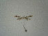  ( - BC KS 00195)  @12 [ ] Unspecified (default): All Rights Reserved (2012) Andreas K. Stuebner Andreas "K." Stuebner Research Collection