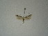  ( - BC KS 00219)  @13 [ ] Unspecified (default): All Rights Reserved (2012) Andreas K. Stuebner Andreas "K." Stuebner Research Collection