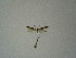  ( - BC KS 00227)  @12 [ ] Unspecified (default): All Rights Reserved (2012) Andreas K. Stuebner Andreas "K." Stuebner Research Collection