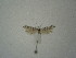  ( - BC KS 00304)  @12 [ ] Unspecified (default): All Rights Reserved (2012) Andreas K. Stuebner Andreas "K." Stuebner Research Collection
