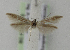  ( - BC KS 00113)  @13 [ ] CreativeCommons - Attribution Non-Commercial (2010) Matthias Nuss Senckenberg Museum of Zoology, Dresden