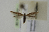  ( - BC KS 00022)  @13 [ ] CreativeCommons - Attribution Non-Commercial (2010) Matthias Nuss Senckenberg Museum of Zoology, Dresden