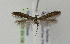  ( - BC KS 00051)  @12 [ ] CreativeCommons - Attribution Non-Commercial (2010) Matthias Nuss Senckenberg Museum of Zoology, Dresden