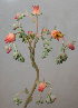  ( - EK-4191-1)  @11 [ ] CreativeCommons - Attribution Share-Alike (2019) Unspecified Universidad Nacional Autonoma de Mexico