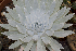  ( - DB-03)  @11 [ ] CreativeCommons  Attribution Non-Commercial (by-nc) (2018) Luis Emilio de la Cruz López Universidad Nacional Autonoma de Mexico, UNAM