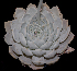  ( - EK-3056-3)  @11 [ ] CreativeCommons  Attribution Non-Commercial (2018) Universidad Nacional Autónoma de Mëxico UNAM