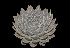  ( - EK-3121-2)  @11 [ ] CreativeCommons  Attribution Non-Commercial (by-nc) (2018) Luis Emilio de la Cruz López Universidad Nacional Autonoma de Mexico, UNAM