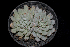  ( - ET-02)  @11 [ ] CreativeCommons  Attribution Non-Commercial (by-nc) (2018) Luis Emilio de la Cruz López Universidad Nacional Autonoma de Mexico, UNAM