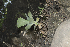  ( - IC-01)  @11 [ ] CreativeCommons - Attribution Share-Alike (2018) Luis Emilio de la Cruz Universidad Nacional Autonoma de Mexico